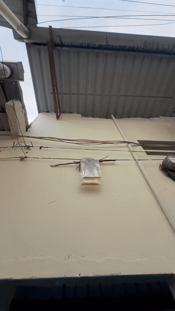Cho thuê Phòng trọ Thành phố Dĩ An Bình Dương diện tích 25 m² giá 1,5 triệu/tháng