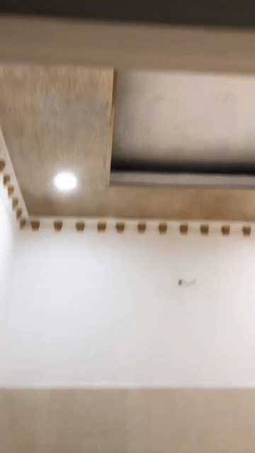 Mua bán Căn hộ Chung cư Lê Thành Tân Tạo Quận Bình Tân Tp Hồ Chí Minh diện tích 36 m² giá 870 triệu