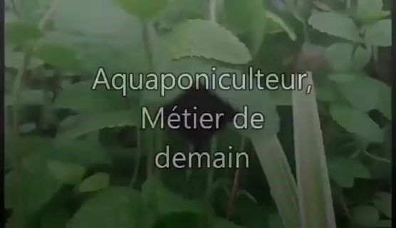 Aquaponiculteur métier de demain