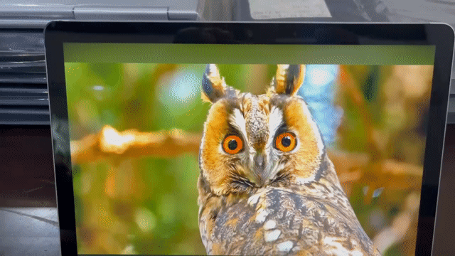Microsoft Surface Go 2 m3-8100Y 8GB/128GB.. Mua bán Laptop tại Quận Bình Tân Tp Hồ Chí Minh được đăng bởi Tài huỳnh hình 1