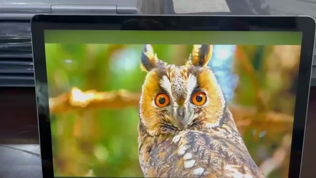 Microsoft Surface Go 2 m3-8100Y 8GB/128GB.. Mua bán Laptop tại Quận Bình Tân Tp Hồ Chí Minh được đăng bởi Tài huỳnh hình 1