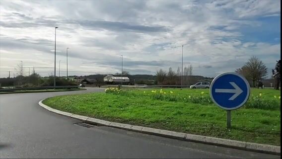 Des animaux ... d'acier