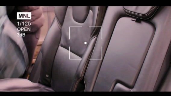 le buzz de l'abeille