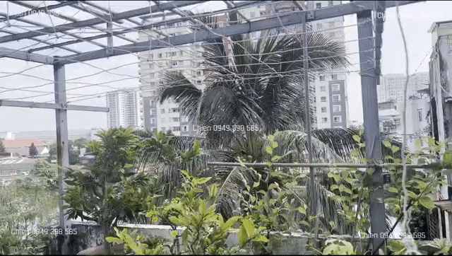 Cho thuê Phòng trọ Quận Tân Phú Tp Hồ Chí Minh diện tích 25 m² giá 2 triệu/tháng