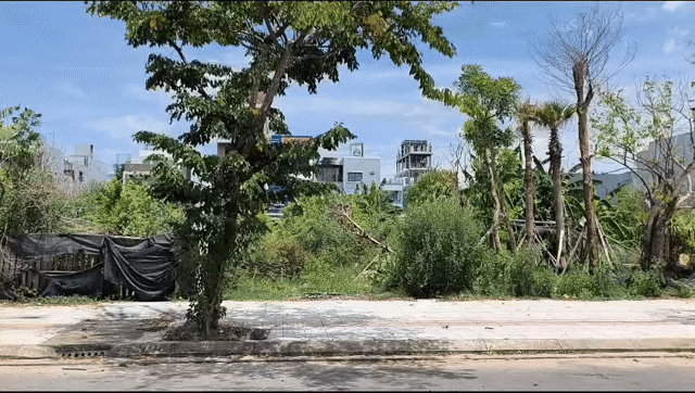 Cho thuê Đất Quận Ngũ Hành Sơn Đà Nẵng diện tích 102.5 m² giá 3,5 triệu/tháng