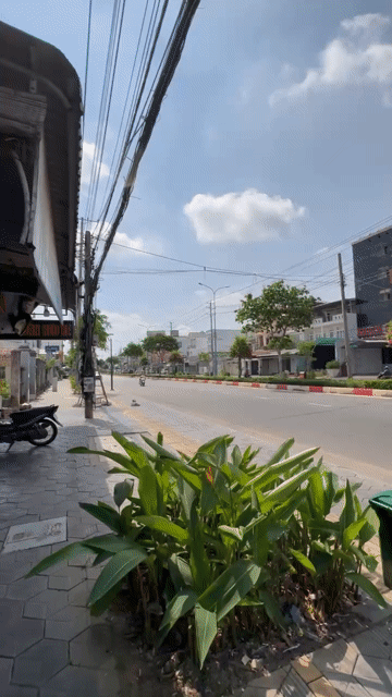 Mua bán Nhà ở Huyện Xuyên Mộc Bà Rịa - Vũng Tàu diện tích 60 m² giá 5,4 tỷ