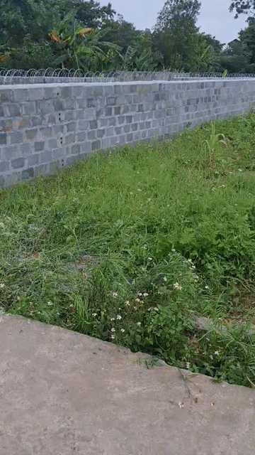 Mua bán Đất Huyện Lý Nhân Hà Nam diện tích 143 m² giá 1,25 tỷ