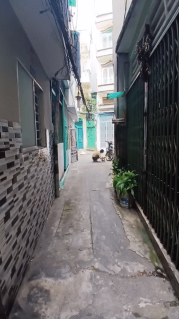 Cho thuê Nhà ở Quận 10 Tp Hồ Chí Minh diện tích 21 m² giá 10 triệu/tháng