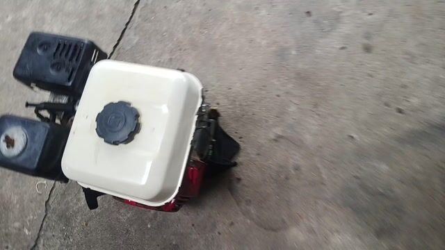 honda gx160. Mua bán Đồ chuyên dụng, Giống nuôi trồng tại Huyện Trảng Bàng Tây Ninh được đăng bởi BÒ ĐỰC  hình 1