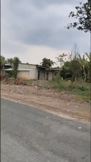 Mua bán Đất Huyện Đồng Phú Bình Phước diện tích 1000 m² giá 370 triệu