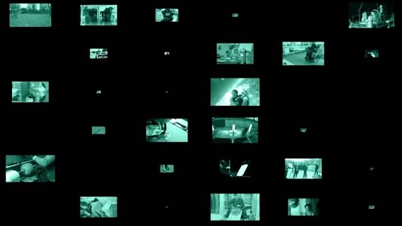 Expert en tortues d'eau marine