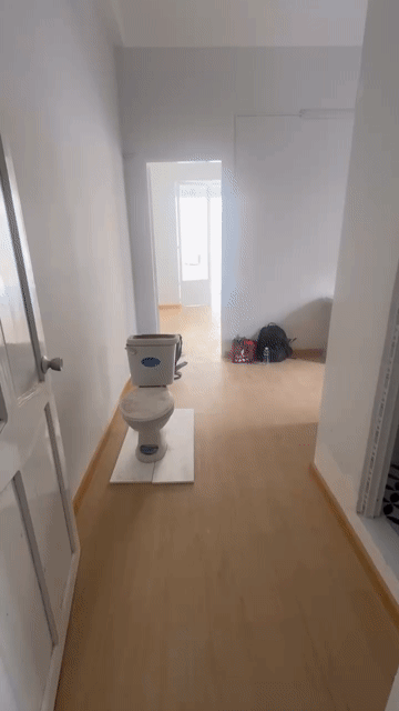 Cho thuê Căn hộ Chung cư Quận 10 Tp Hồ Chí Minh diện tích 50 m² giá 7,1 triệu/tháng