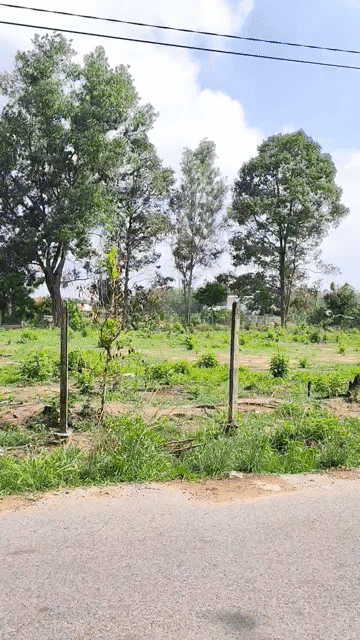 Mua bán Đất Huyện Trảng Bàng Tây Ninh diện tích 120 m² giá 600 triệu