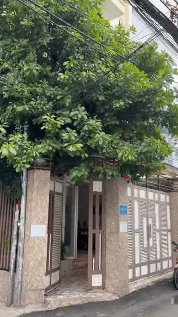 Cho thuê Phòng trọ Quận Gò Vấp Tp Hồ Chí Minh diện tích 20 m² giá 2,6 triệu/tháng