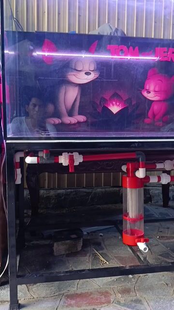 Hồ cá kính 1m2x60x60 14 li. Mua bán Phụ kiện, Thức ăn, Dịch vụ tại Thị xã Phú Mỹ Bà Rịa - Vũng Tàu được đăng bởi Pets  hình 1