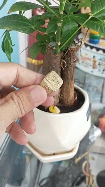 Nhẫn Kim loại Vàng unisex. Mua bán Phụ kiện thời trang khác tại Huyện Nhà Bè Tp Hồ Chí Minh được đăng bởi Mua bán hàng củ ve chai còn tin thì còn hàng  hình 1