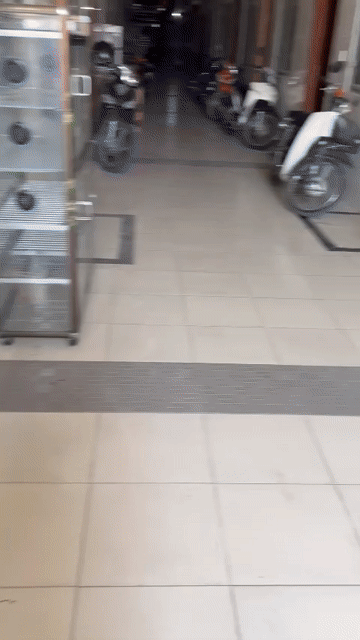 Cho thuê Phòng trọ Thành phố Dĩ An Bình Dương diện tích 20.25 m² giá 2 triệu/tháng