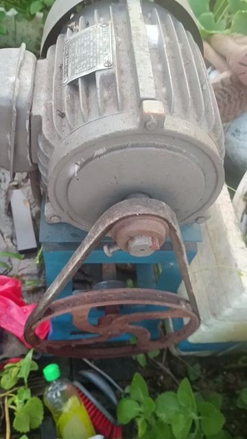Máy xay thịt, làm cám viên motơ 2hp Đã sử dụng. Mua bán Bếp, lò, đồ điện nhà bếp tại Huyện Hóc Môn Tp Hồ Chí Minh được đăng bởi Phi Long hình 1