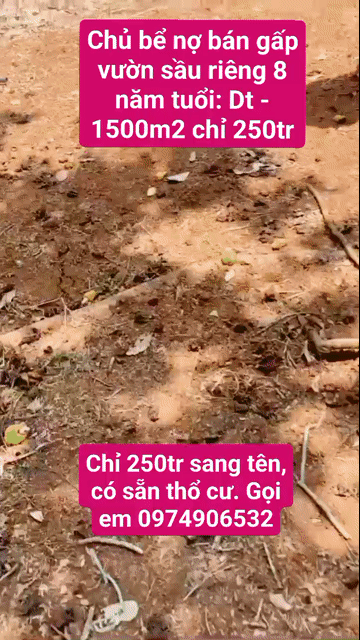 Mua bán Đất Huyện Đồng Phú Bình Phước diện tích 1500 m² giá 250 triệu
