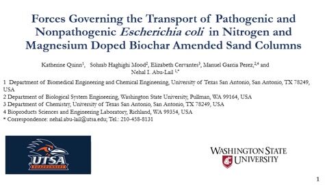 Nonpathogenic Escherichia coli in Nitrogen and Magnesium Doped Biochar Amended Sand Columns