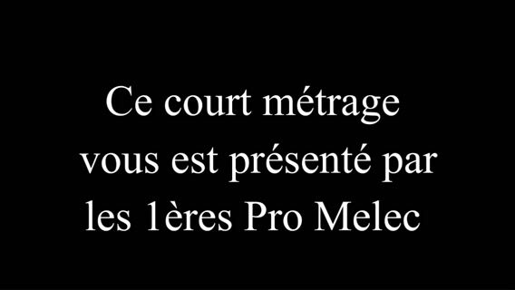 Immersion en Bac pro MELEC