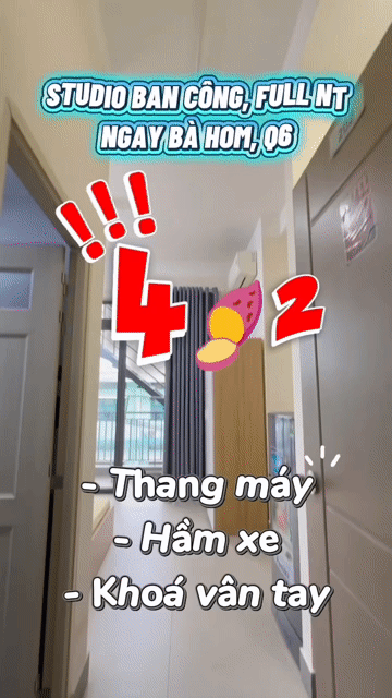 Cho thuê Căn hộ Chung cư Quận 6 Tp Hồ Chí Minh diện tích 30 m² giá 4,3 triệu/tháng