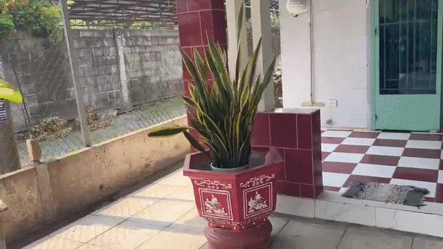 Mua bán Nhà ở Huyện Củ Chi Tp Hồ Chí Minh diện tích 650 m² giá 6,1 tỷ
