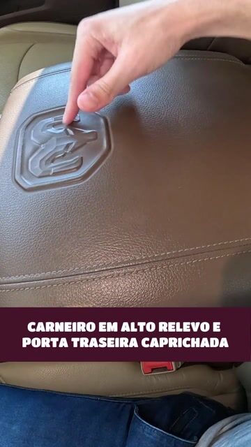 CARNEIRO EM ALTO RELEVO E PORTA TRASEIRA CAPRICHADA