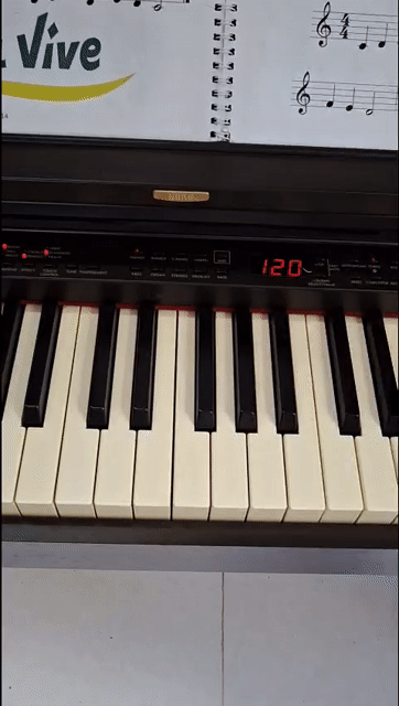 Đàn Piano điện. Mua bán Nhạc cụ tại Huyện Nhà Bè Tp Hồ Chí Minh được đăng bởi Thu Thao hình 1