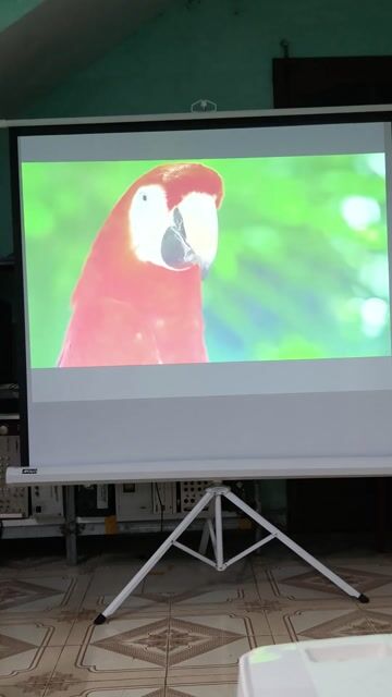 Máy chiếu BenQ Trắng. Mua bán Đồ dùng văn phòng tại Huyện Thuỷ Nguyên Hải Phòng được đăng bởi Quang Hải hình 1
