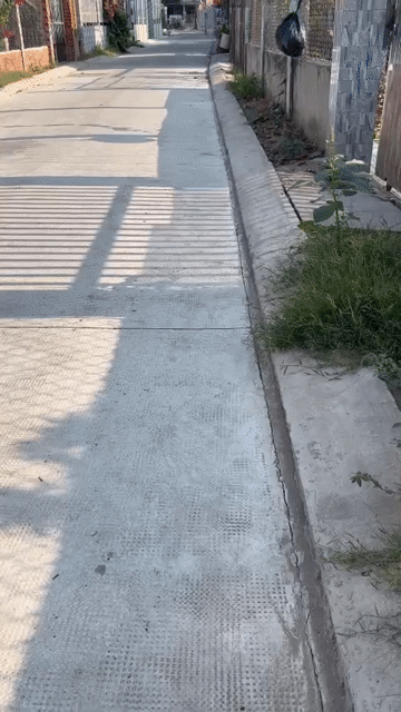 Mua bán Nhà ở Thành phố Bến Tre Bến Tre diện tích 185 m² giá 780 triệu