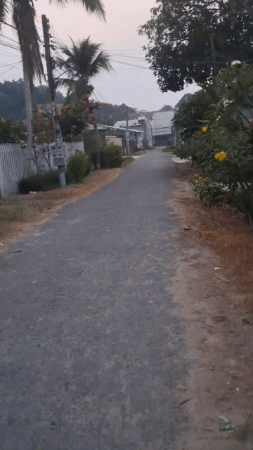 Mua bán Nhà ở Huyện Gò Dầu Tây Ninh diện tích 520 m² giá 2,9 tỷ