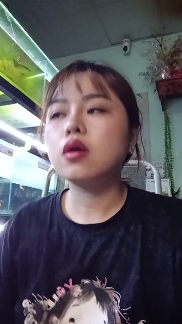 khoáng hồ cá. Mua bán Phụ kiện, Thức ăn, Dịch vụ tại Quận Liên Chiểu Đà Nẵng được đăng bởi Trương Ngân Hà hình 1