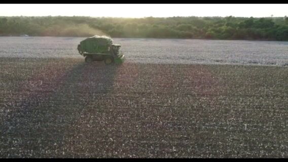 Agriculture ou Agronomie ?