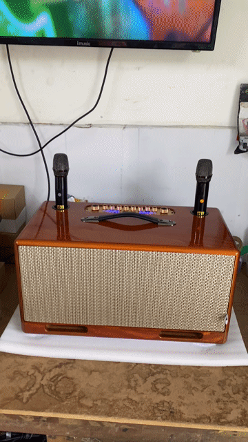 Loa karaoke Bose Bluetooth công suất lớn chống hú. Mua bán Tivi, Âm thanh tại Quận Ninh Kiều Cần Thơ được đăng bởi DTD hình 1
