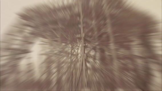 A la découverte du métier d'ingénieur en génie civil.