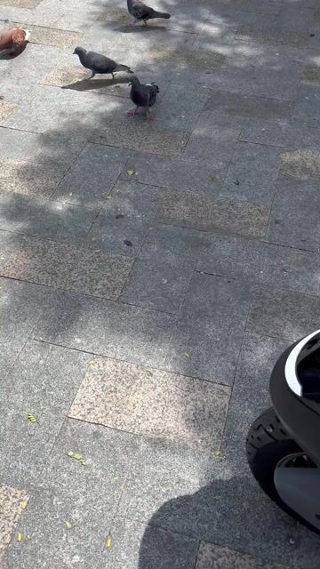 Bán xe Honda Spacy Nhật Bản 2004.. Mua bán Xe máy tại Quận 3 Tp Hồ Chí Minh được đăng bởi  Võ Thanh Hoàng hình 1