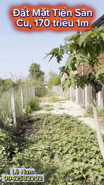 Mua bán Đất Huyện Hòa Thành Tây Ninh diện tích 152 m² giá 680 triệu