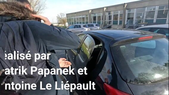 Licence Professionnelle Productions végétales