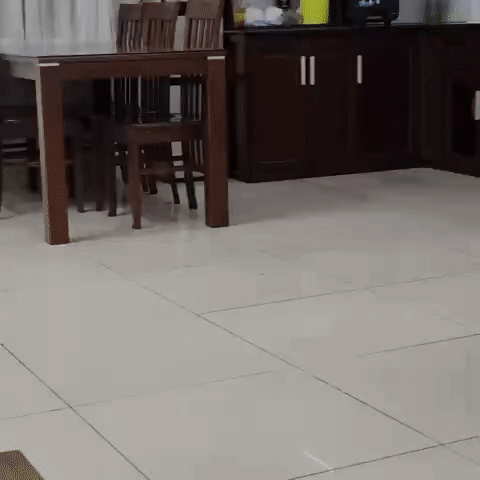 Cho thuê Nhà ở Thành phố Thủ Đức Tp Hồ Chí Minh diện tích 50 m² giá 13 triệu/tháng