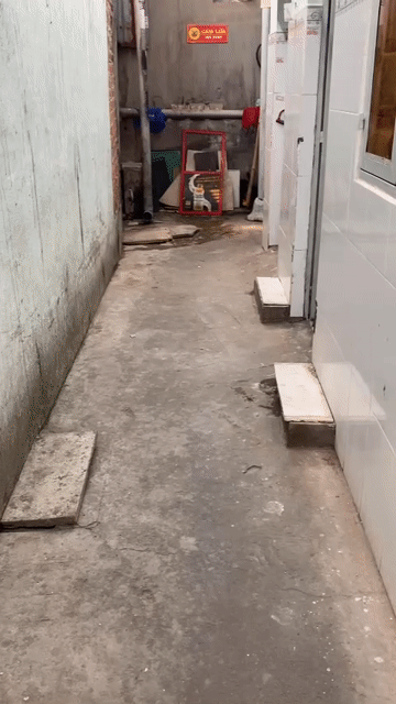 Cho thuê Phòng trọ Quận Bình Thạnh Tp Hồ Chí Minh diện tích 15 m² giá 2,5 triệu/tháng