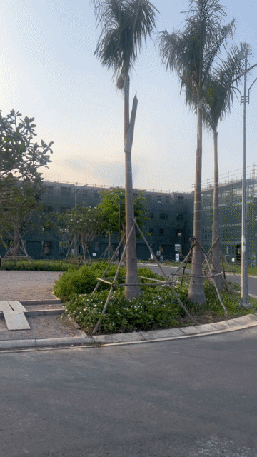 Mua bán Đất Nam Long II Central Lake Quận Cái Răng Cần Thơ diện tích 120 m² giá 5,5 tỷ