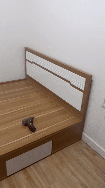 GIƯỜNG GỖ CÔNG NGHIỆP MDF 1M6 2M CÓ 2 HỘP KÉO . Mua bán Giường, chăn ga gối nệm tại Thành phố Thủ Dầu Một Bình Dương được đăng bởi Tủ nhựa đài loan hoàng quân hình 1