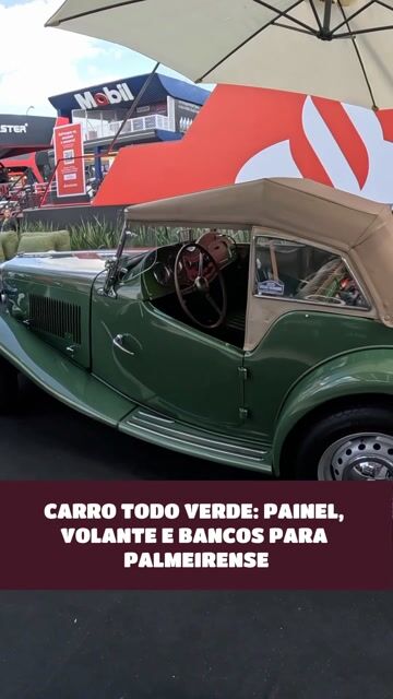 CARRO TODO VERDE: PAINEL, VOLANTE E BANCOS PARA PALMEIRENSE