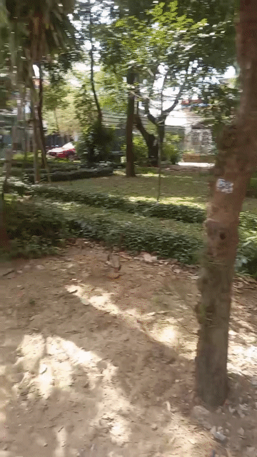 Mua bán Nhà ở Thành phố Tuy Hòa Phú Yên diện tích 115 m² giá 5,6 tỷ