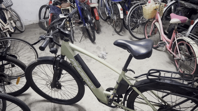 Xe đạp trợ lực điện Phoenix Xanh lá. Mua bán Xe đạp tại Quận 12 Tp Hồ Chí Minh được đăng bởi Trương Huỳnh Bình phát  hình 1