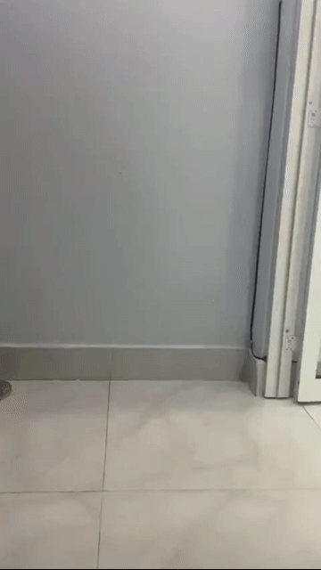 Cho thuê Phòng trọ Quận Gò Vấp Tp Hồ Chí Minh diện tích 20 m² giá 3,3 triệu/tháng