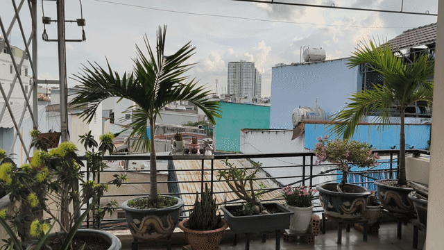 Mua bán Nhà ở Quận 8 Tp Hồ Chí Minh diện tích 51.2 m² giá 6,75 tỷ