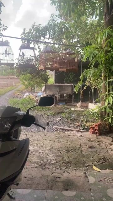 Lồng chim tre Nâu. Mua bán Chim tại Huyện Bình Chánh Tp Hồ Chí Minh được đăng bởi Thành Nguyễn  hình 1