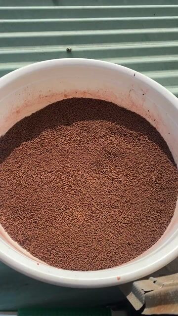 Cám chìm kích màu cho cá vàng Oranda ,Ranchu. Mua bán Phụ kiện, Thức ăn, Dịch vụ tại Quận 8 Tp Hồ Chí Minh được đăng bởi Lâm Nhật Huy hình 1